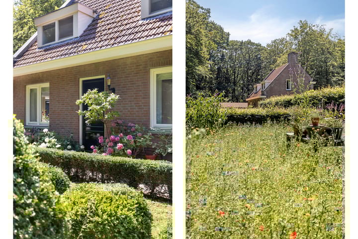 Photo 11 of Gorp aan de Ley 2