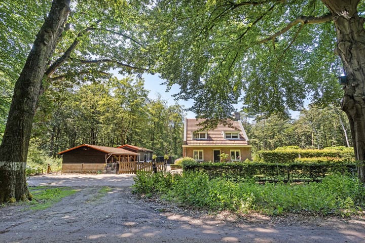 Photo 16 of Gorp aan de Ley 2