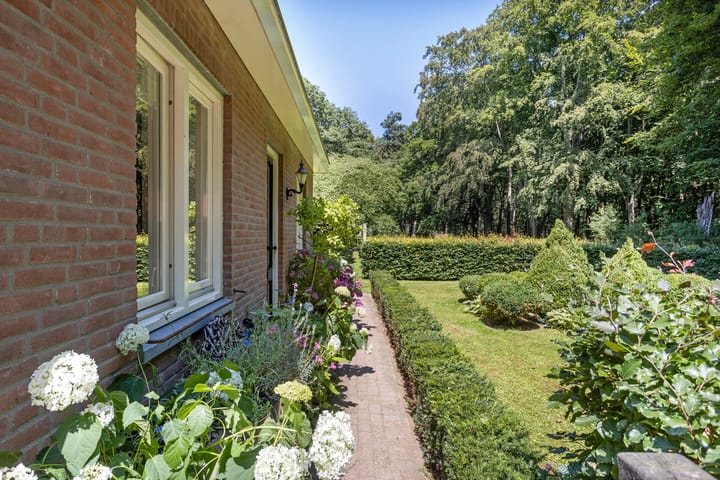 Photo 17 of Gorp aan de Ley 2