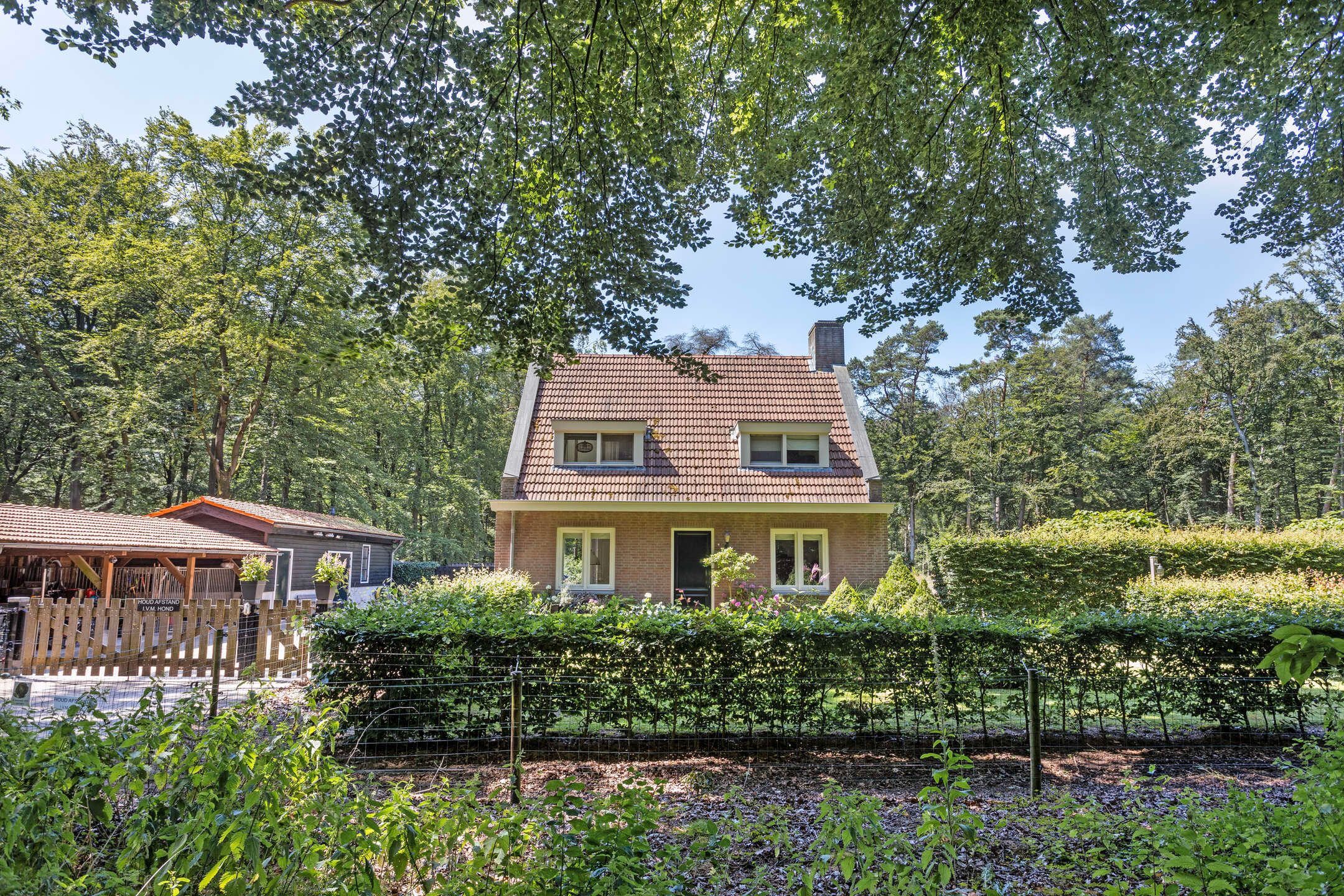 Foto 30 van Gorp aan de Ley 2