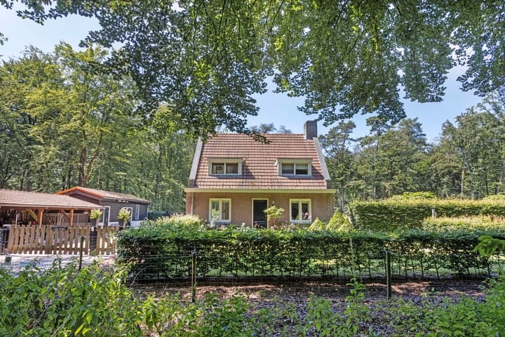 Photo 30 of Gorp aan de Ley 2