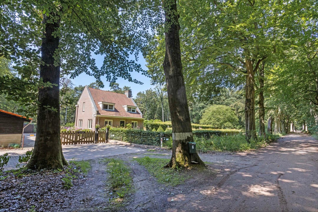 Foto 31 van Gorp aan de Ley 2