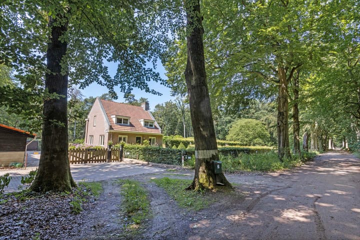 Photo 31 of Gorp aan de Ley 2