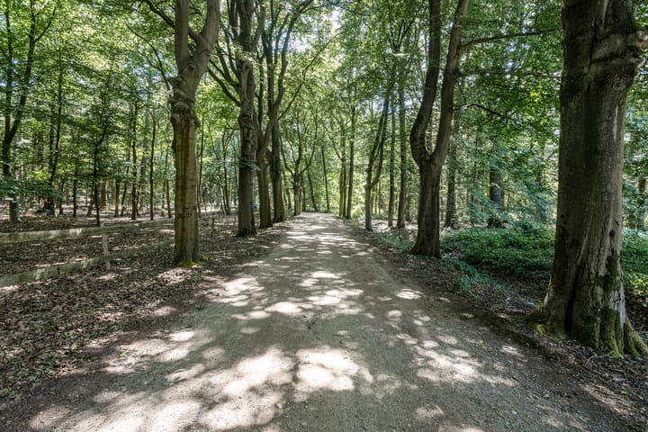 Photo 34 of Gorp aan de Ley 2