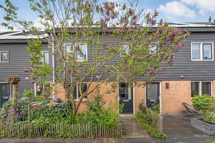 Foto 1 van Timoteegras 36