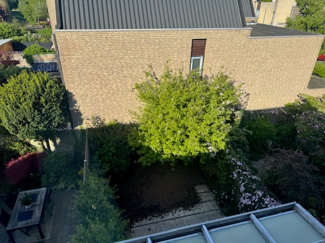 Foto 20 van Bous de Jongpark 56