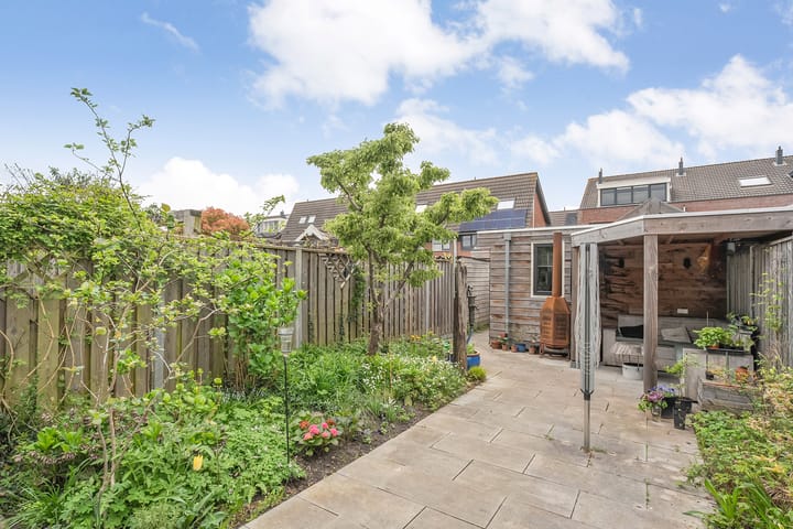 Foto 32 van Timoteegras 36