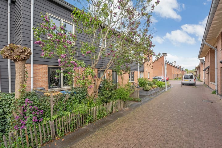 Foto 36 van Timoteegras 36