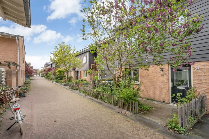 Foto 37 van Timoteegras 36