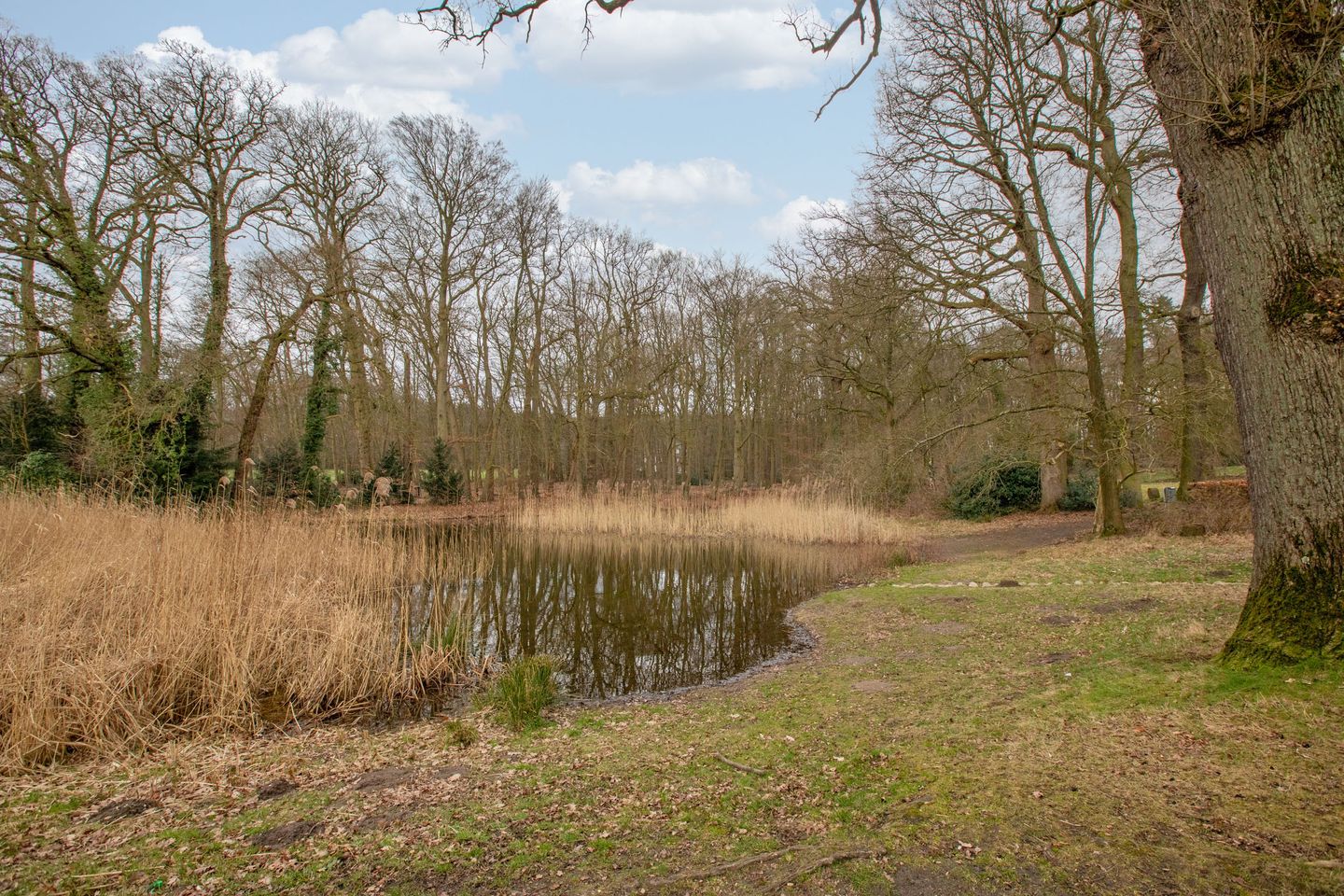 Photo 29 of Arnhemsestraatweg 57