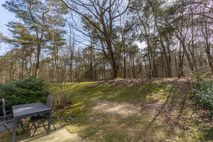 Foto 10 van de Vers 217