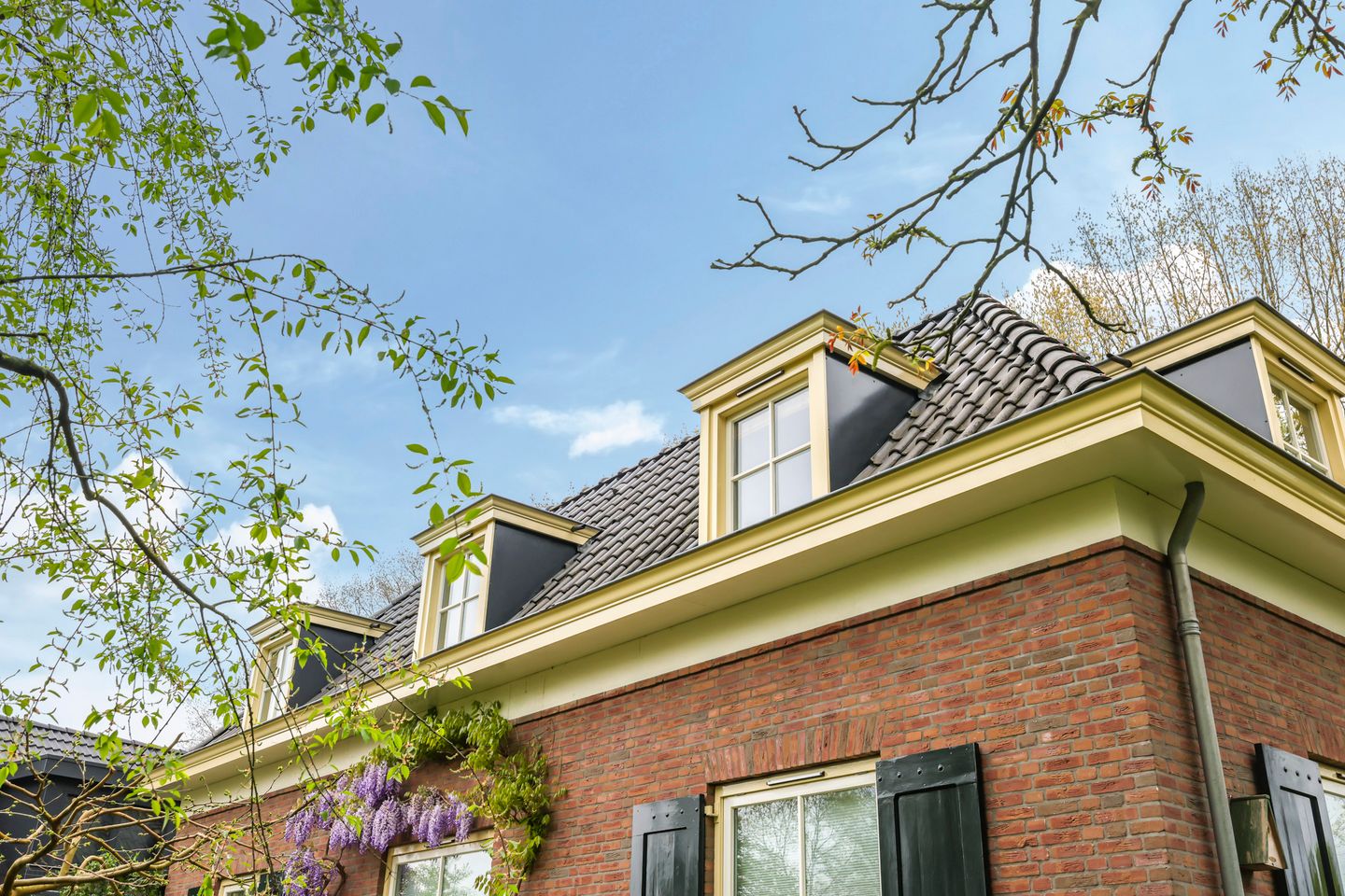 Photo 25 of Monumentenweg 24