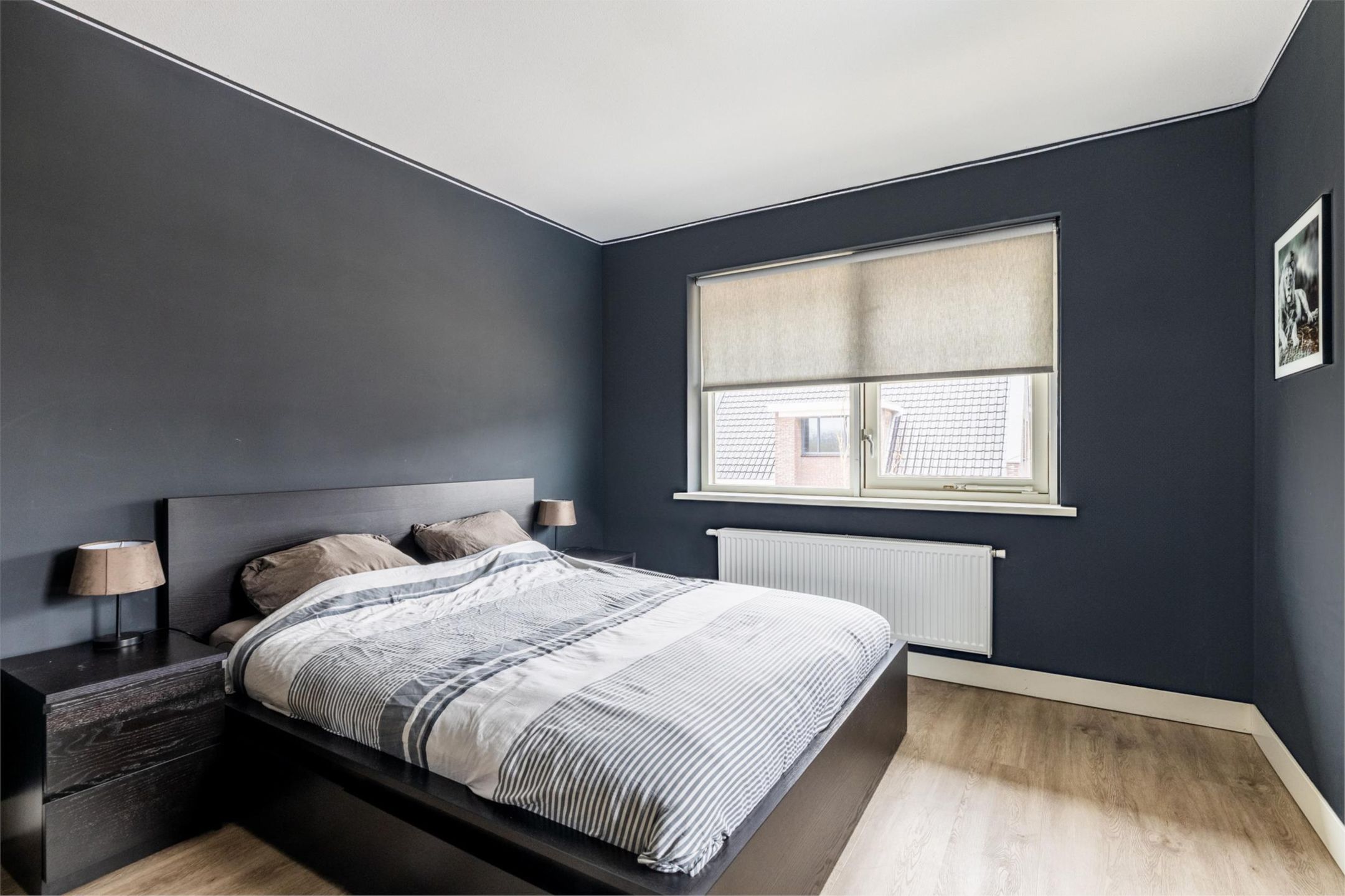 Photo 57 of Boskbei 2