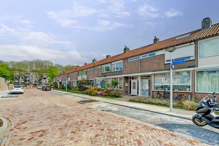 Foto 52 van Hectorlaan 28