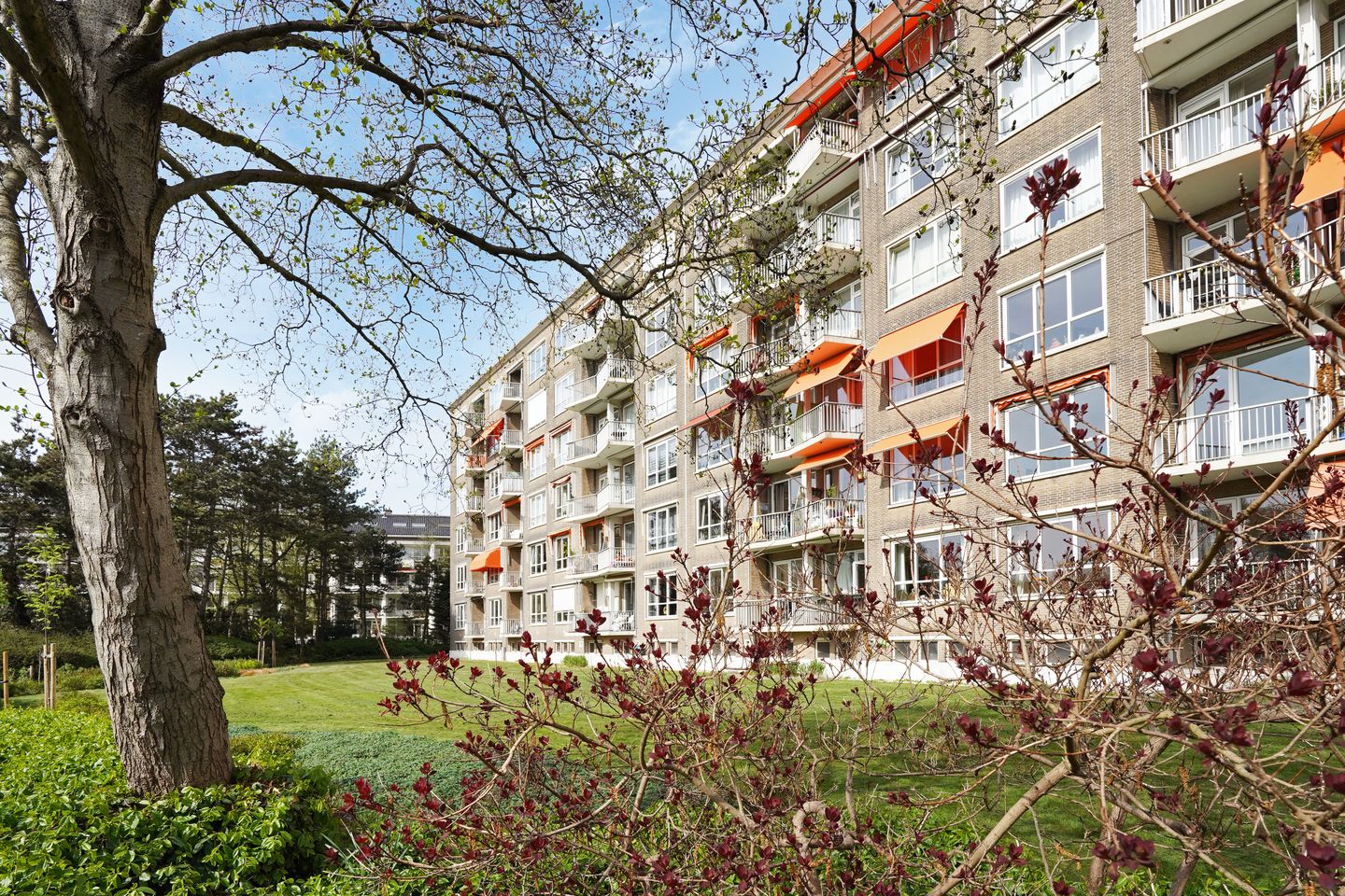 Photo 4 of Ridderspoorweg 172