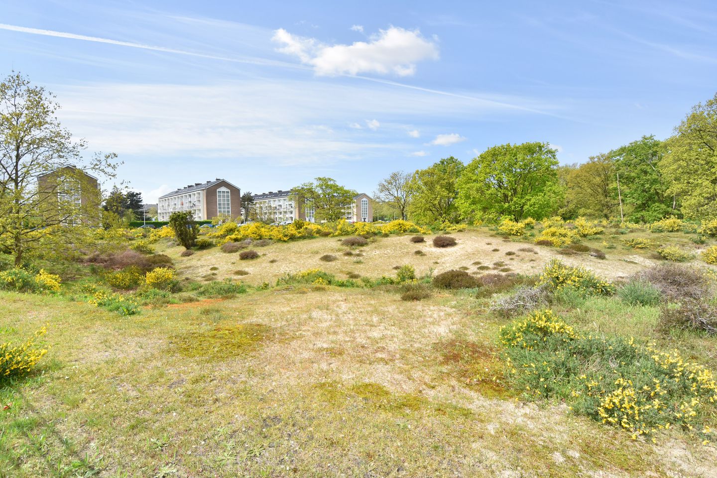 Photo 25 of Ridderspoorweg 172