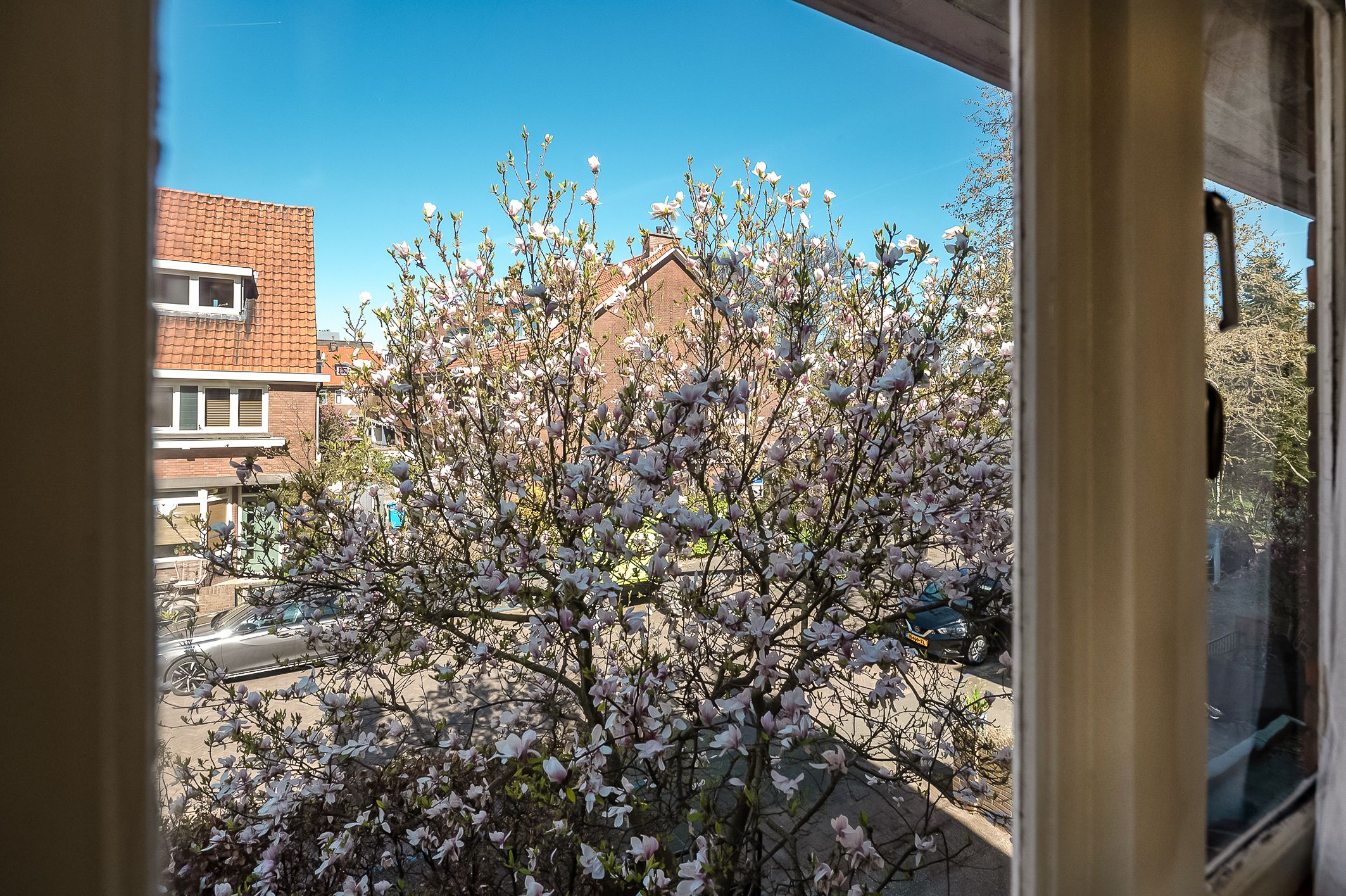 Photo 39 of Hofwijckstraat 54