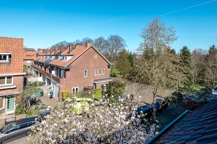 Foto 57 van Hofwijckstraat 54