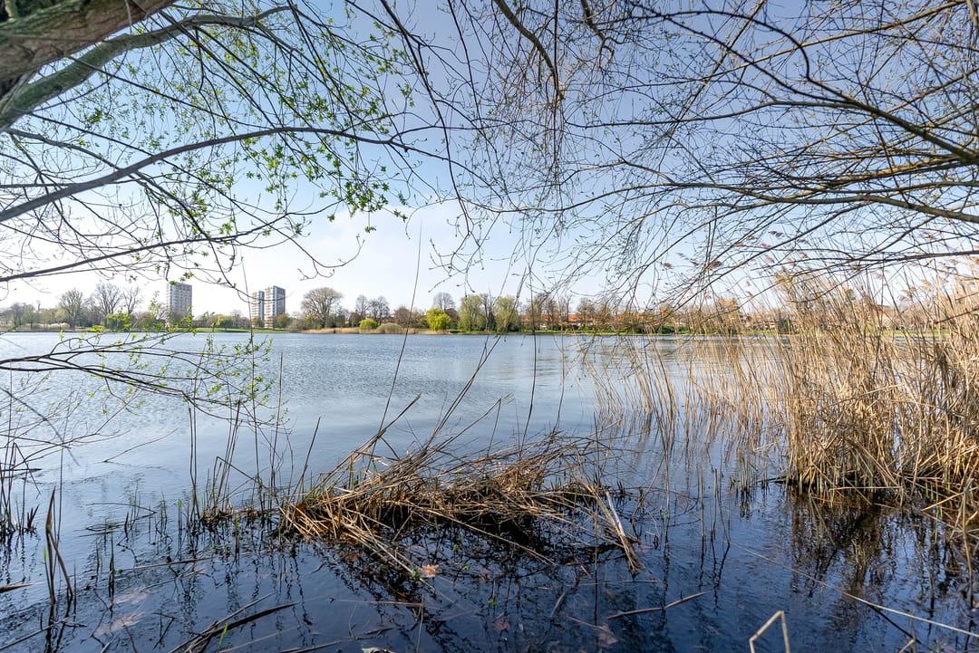 Foto 38 van Zuidoosterfront 47