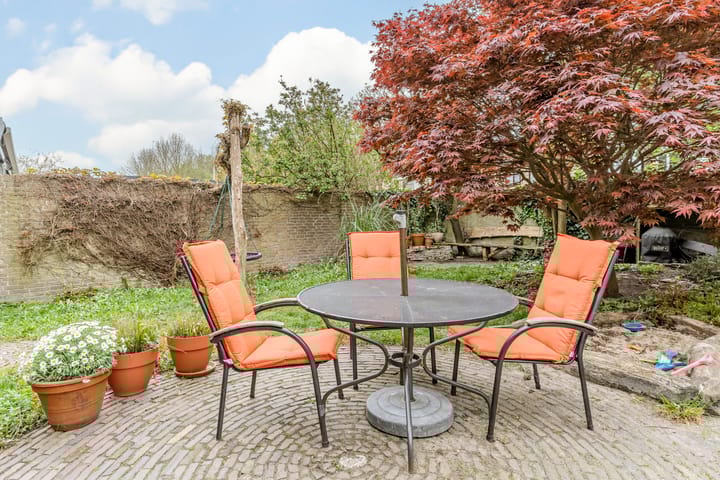 Foto 4 van Moerbeiboom 41