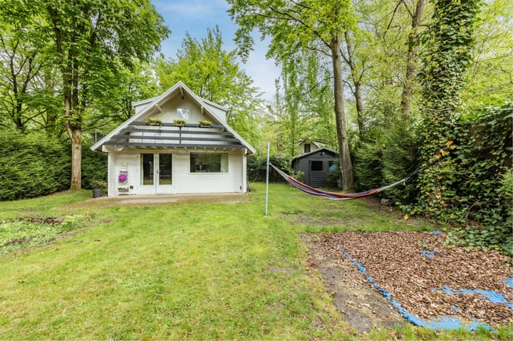 Foto 22 van Hyacinth 126