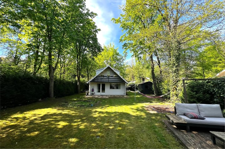 Foto 24 van Hyacinth 126