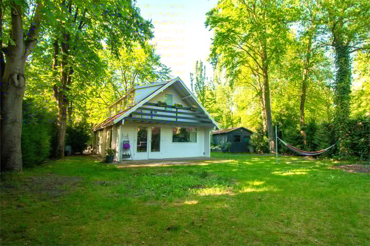 Foto 25 van Hyacinth 126