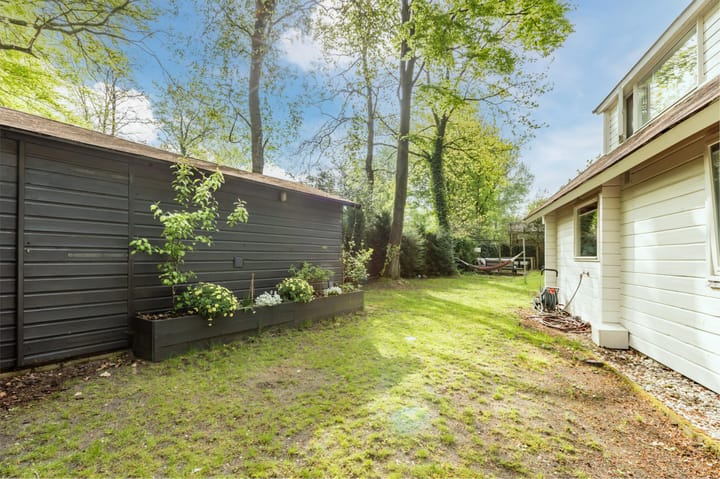 Foto 26 van Hyacinth 126