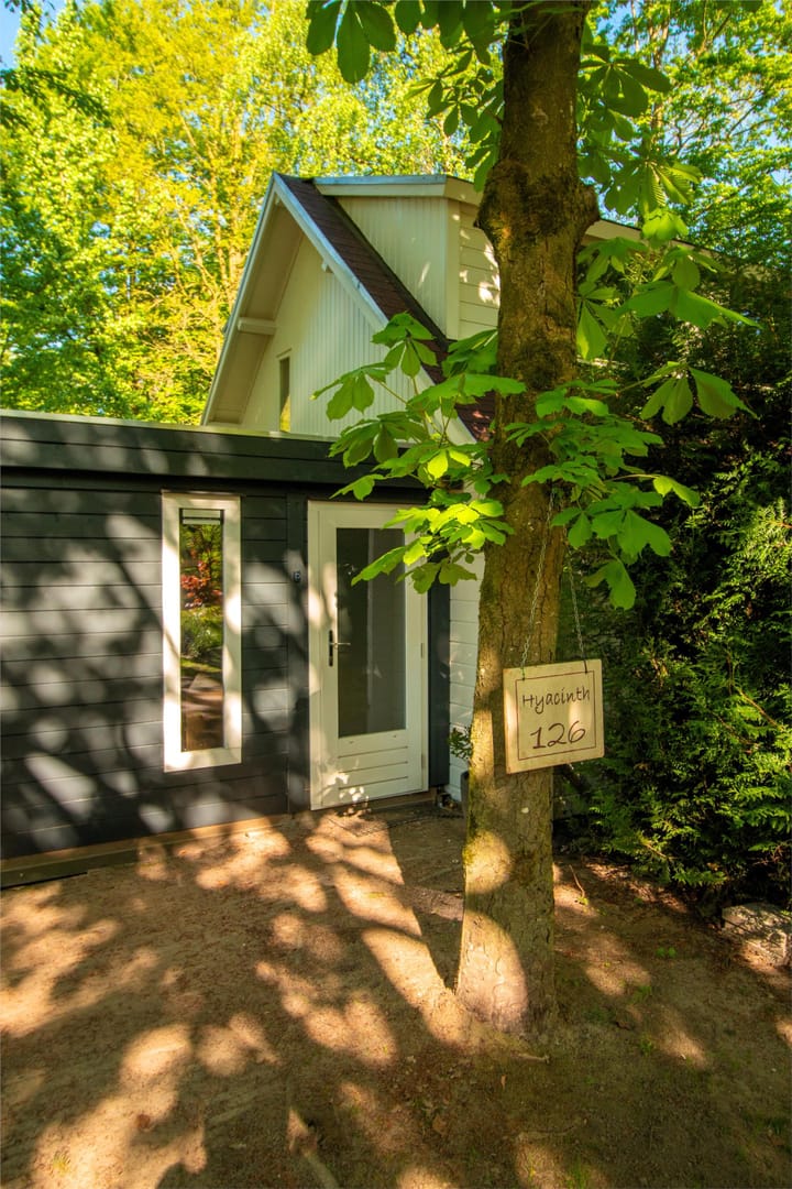 Foto 28 van Hyacinth 126