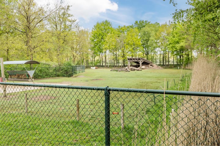 Foto 29 van Hyacinth 126