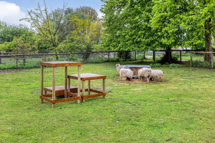 Foto 31 van Händellaan 131