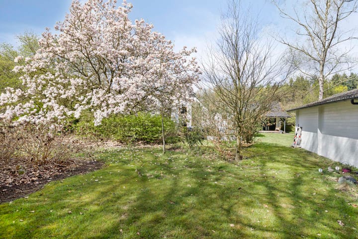 Photo 32 of Dreefseweg 3