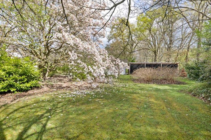 Photo 33 of Dreefseweg 3