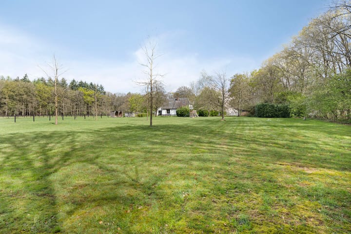 Photo 38 of Dreefseweg 3