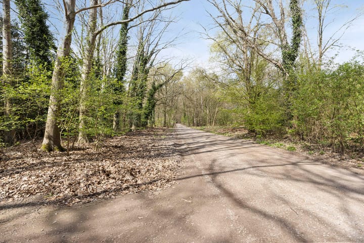 Photo 44 of Dreefseweg 3