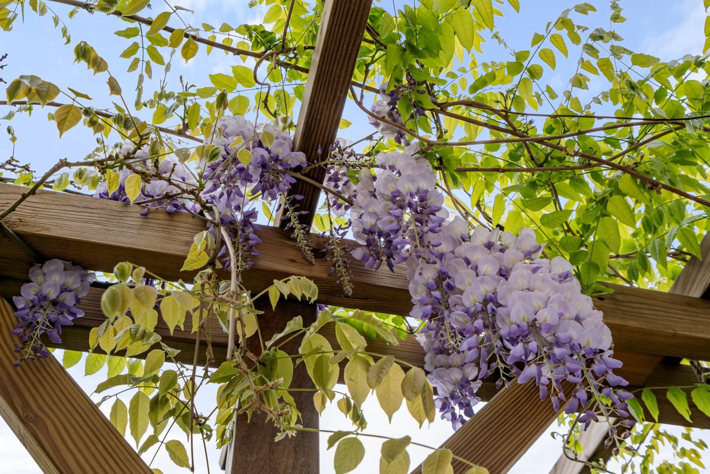 Foto 55 van Akulaan 44