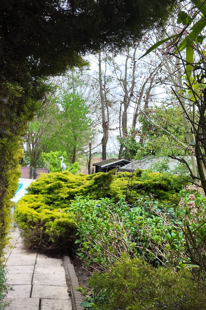 Foto 69 van Oude Appelaarsedijk 2