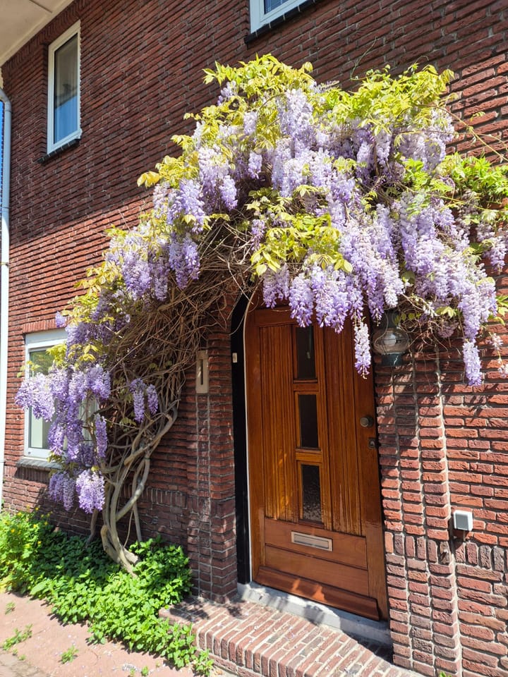 Foto 5 van Jonkerlaan 27