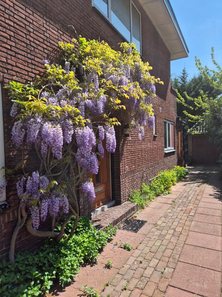 Foto 58 van Jonkerlaan 27