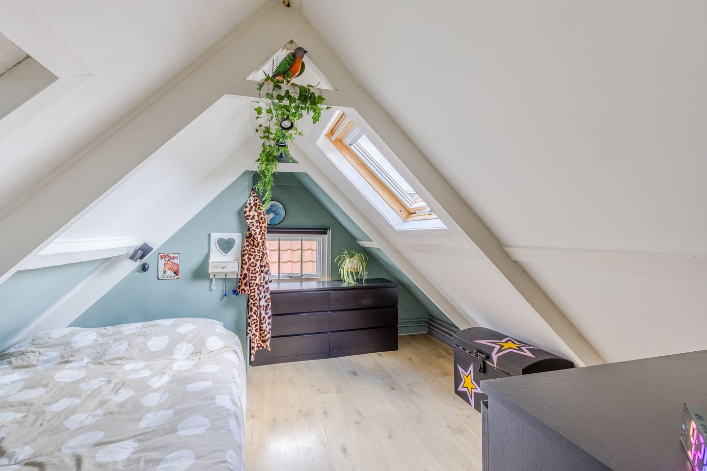 Foto 4 van Zuiddijk 283