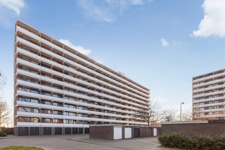 Foto 1 van Seringenplantsoen 305