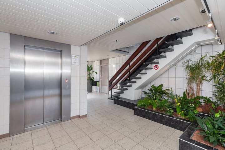 Foto 2 van Seringenplantsoen 305