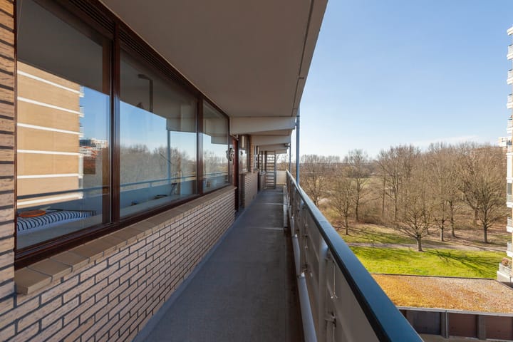 Foto 3 van Seringenplantsoen 305