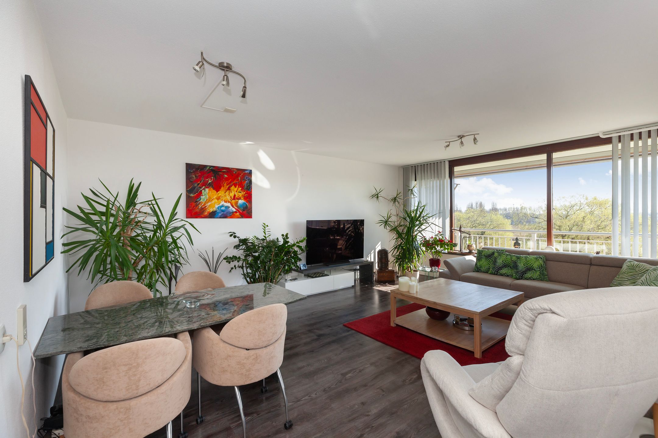 Foto 6 van Seringenplantsoen 305