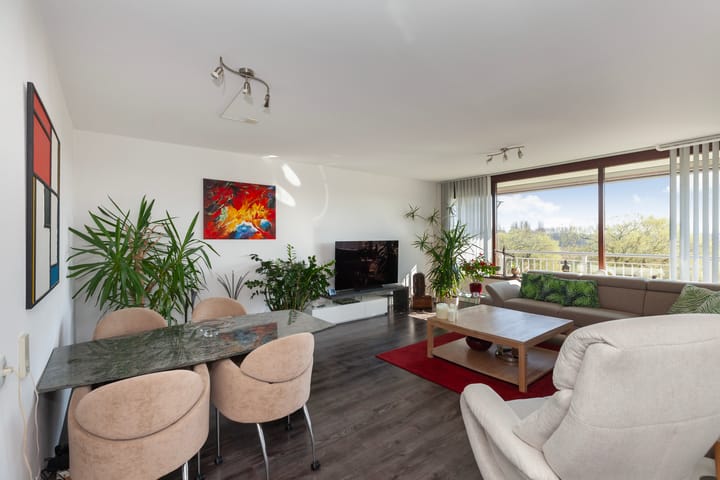 Foto 6 van Seringenplantsoen 305