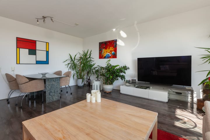 Foto 7 van Seringenplantsoen 305