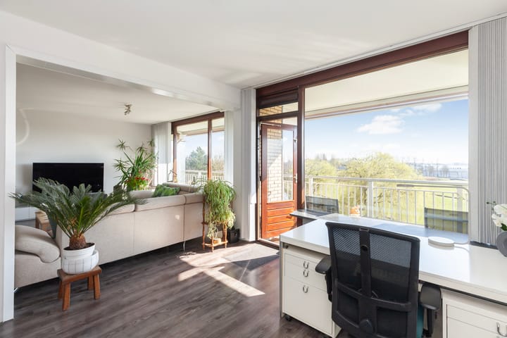 Foto 11 van Seringenplantsoen 305