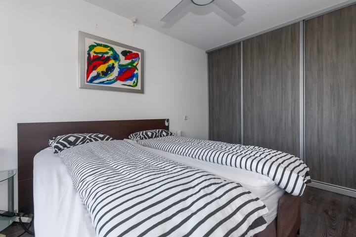 Foto 20 van Seringenplantsoen 305