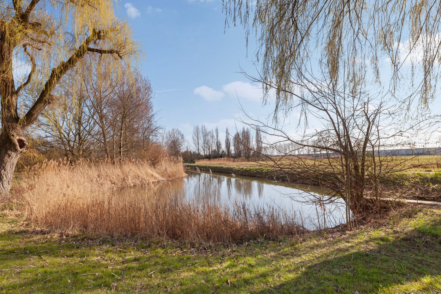 Foto 29 van Seringenplantsoen 305