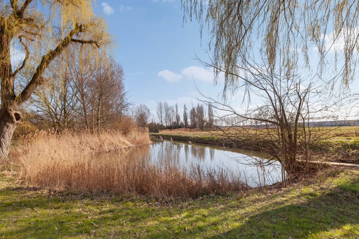 Foto 29 van Seringenplantsoen 305